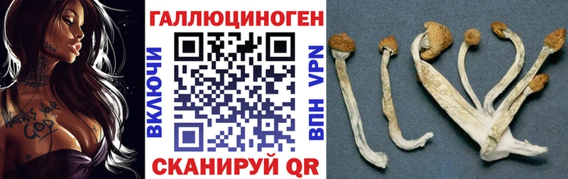ссылка на мегу ссылки  Щёлкино  Псилоцибиновые грибы MAGIC MUSHROOMS 